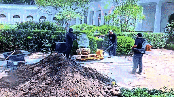 Trump shares security footage with alleged damage in White House Rose Garden